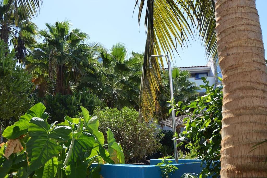 Holiday Properties Moradias Green ซังตามาเรีย ภายนอก รูปภาพ