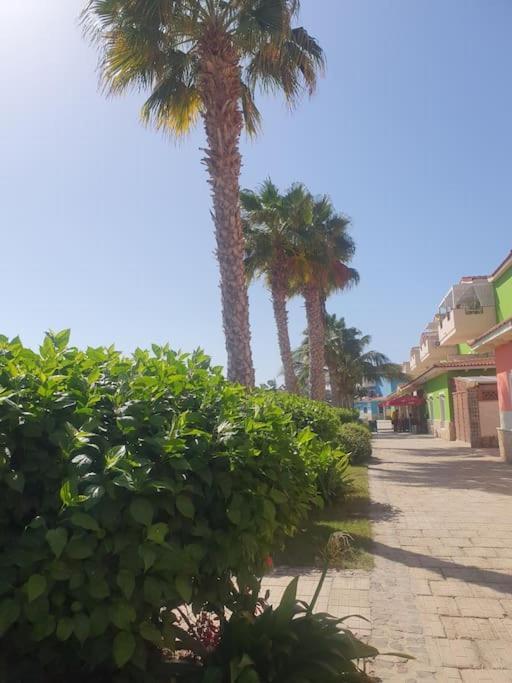 Holiday Properties Moradias Green ซังตามาเรีย ภายนอก รูปภาพ